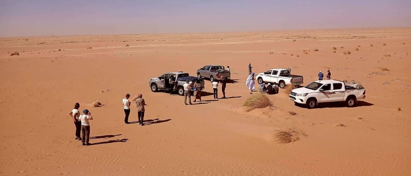 region image